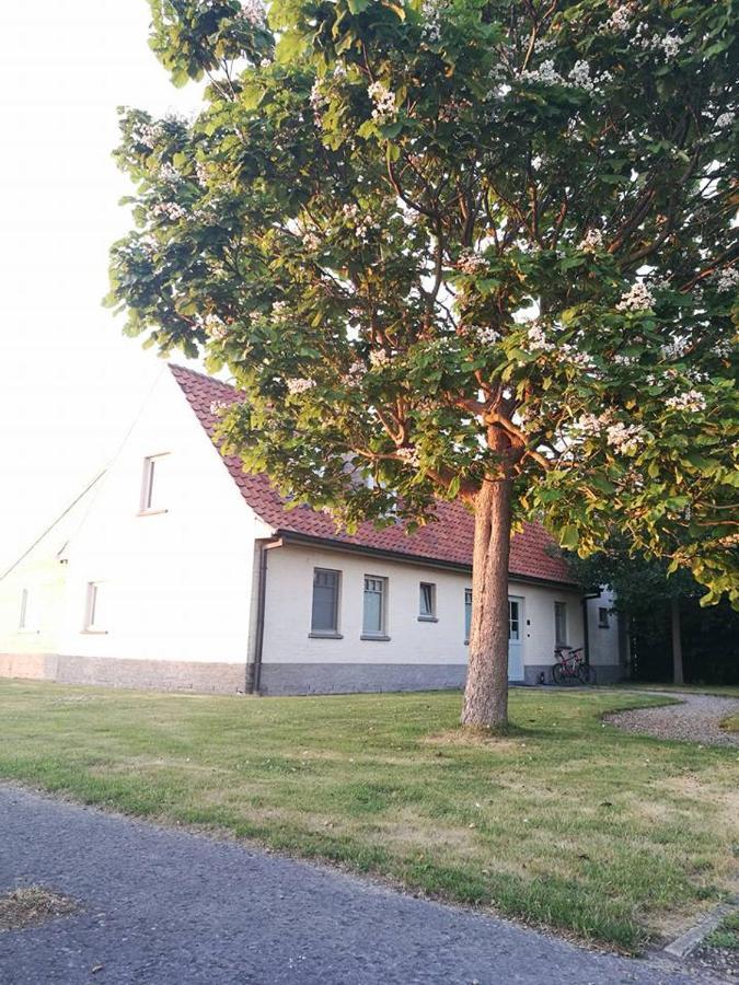 B&B De Pethaan Wielsbeke Exterior photo